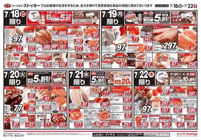 ビバホーム竜ヶ崎店のチラシ チラシプラス