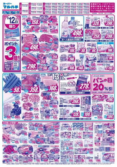 ホームセンターコーナン東三国店のチラシ チラシプラス