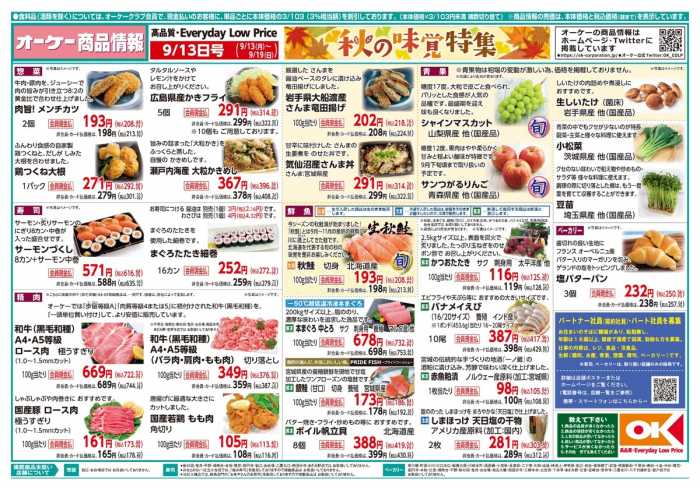 周辺で本日チラシを掲載している店舗 チラシプラス