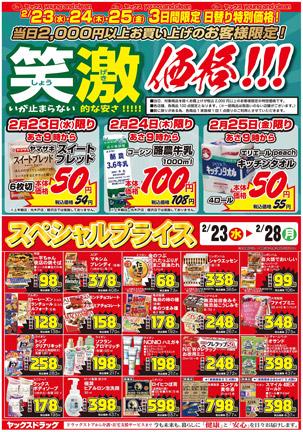 カインズ東金店のチラシ チラシプラス