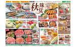 コメリハード グリーン舞鶴田中店のチラシ チラシプラス